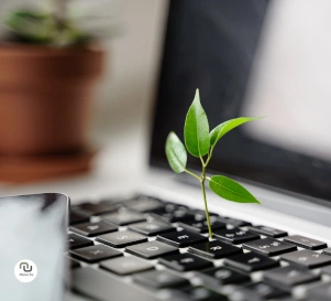 Einführung in die Nachhaltigkeit beim E-Commerce - Pflanze wächst aus Laptop-Tastatur heraus